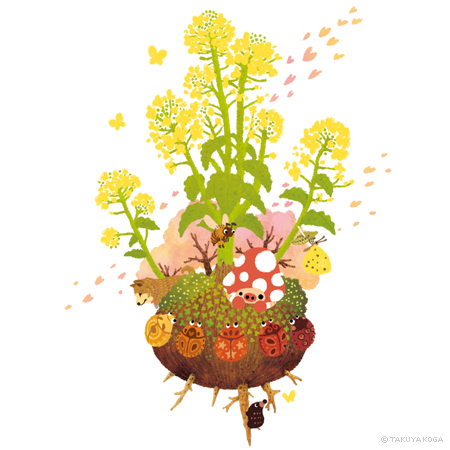 球根ラッキースター